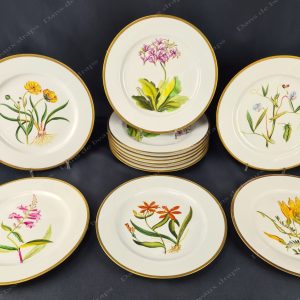 Rare suite de 12 assiettes de présentation modèle Botanique désign Alberto Pinto