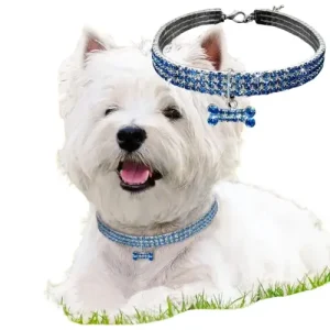 Collier Diamant en strass pour chien