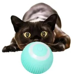 Jouets interactifs pour chats