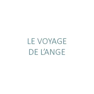 Le voyage de l&rsquo;ange