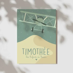 Vol au dessus de la Dune